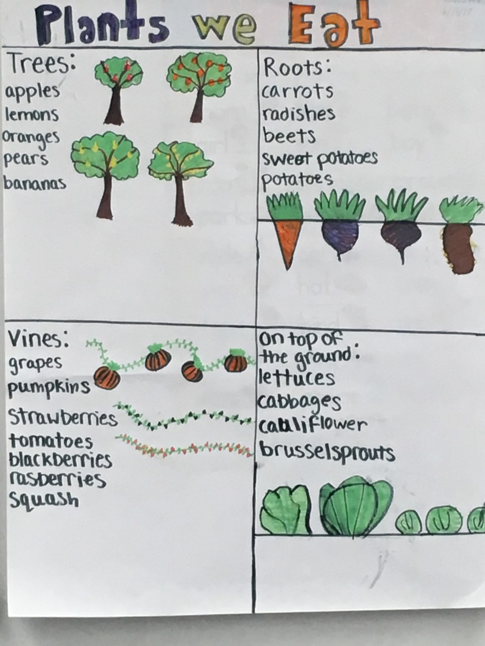 student_work_2